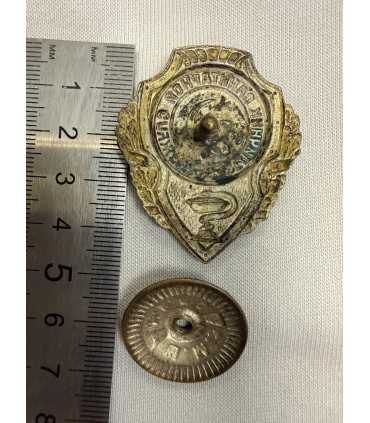 Знак "отличник санитарной службы "