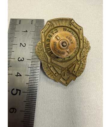 Знак "отличный стрелок"