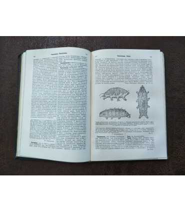 Энциклопедический словарь, т. 41