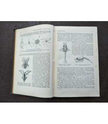 Жизнь животных по А.Э. Брэму. Том 2