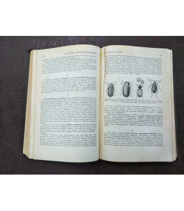 Жизнь животных по А.Э. Брэму. Том 2