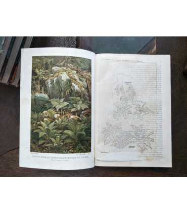 Книги из серии "Вся природа"