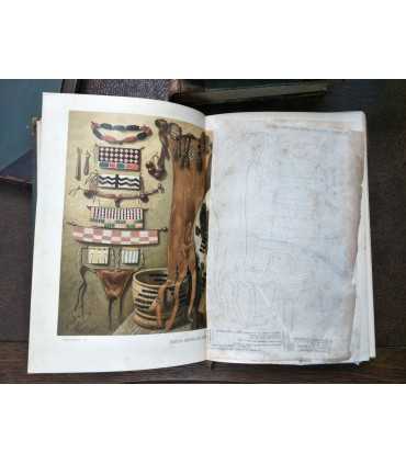 Книги из серии "Вся природа"