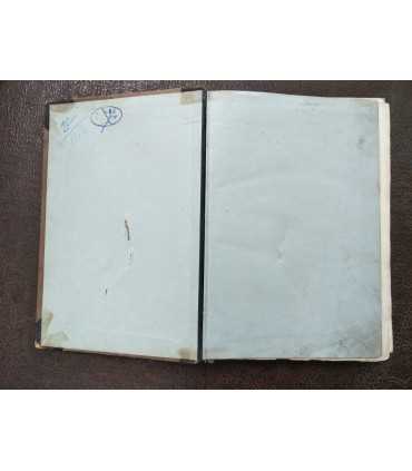 Мельхиор Неймайр. История Земли - том 1