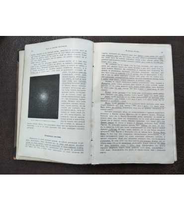 Мельхиор Неймайр. История Земли - том 1