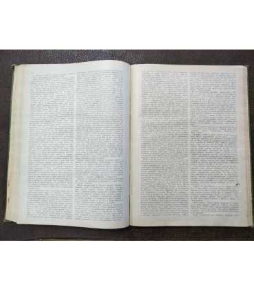 Приложение к журналу "Нива" на 1901 - XIX век