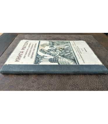 Книга матери (как вырастить здорового и крепкого ребенка и сохранить своё здоровье).