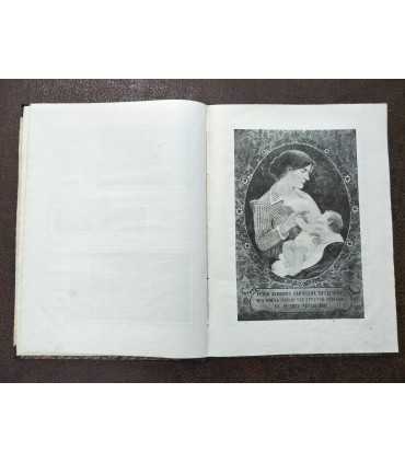 Книга матери (как вырастить здорового и крепкого ребенка и сохранить своё здоровье).