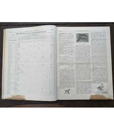 "Охотничья газета", 1892 г.