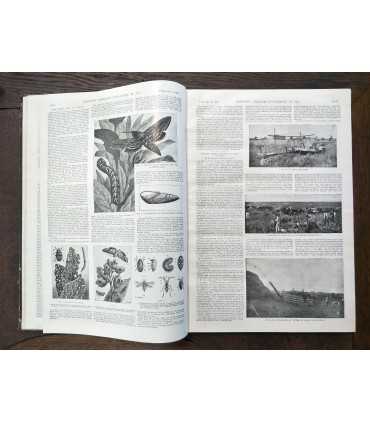 Журнал "Scientific American Supplement"