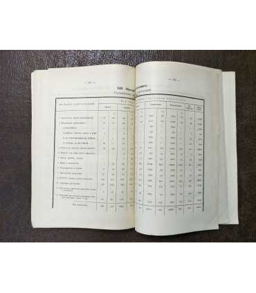 Итоги русской уголовной статистики за 20 лет (1874-1894 гг.)