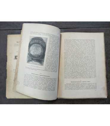 История освобождения России