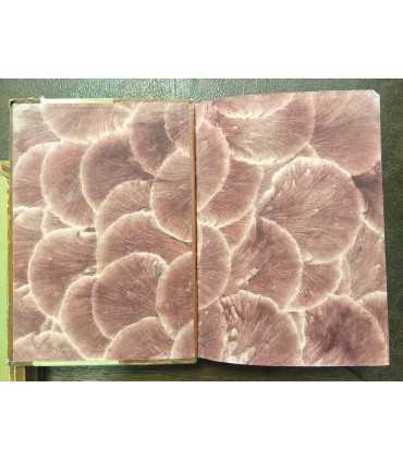 Вселенная и человечество