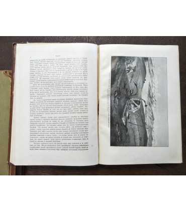 Вселенная и человечество