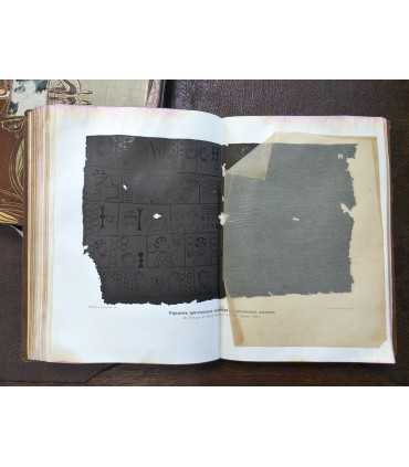 Вселенная и человечество