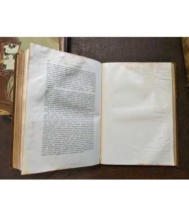 Вселенная и человечество