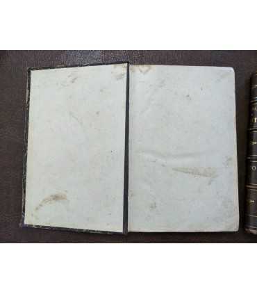 Природа и охота