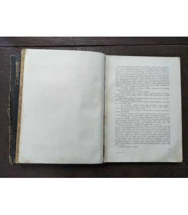 Л.Н. Толстой - Война и мир