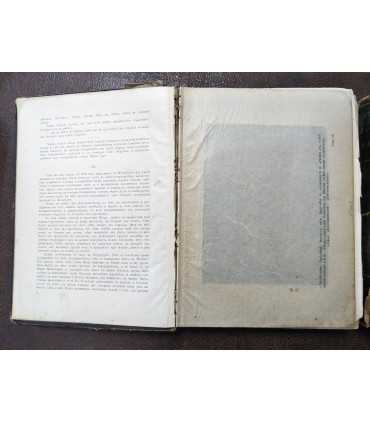 Л.Н. Толстой - Война и мир