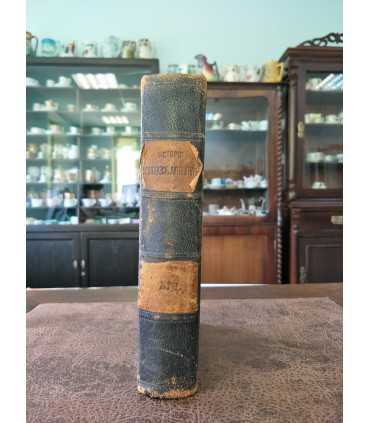 Иллюстрированная история французской литературы в XIX веке.