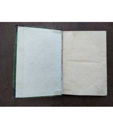 Иллюстрированная история французской литературы в XIX веке.