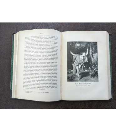 Иллюстрированная история французской литературы в XIX веке.