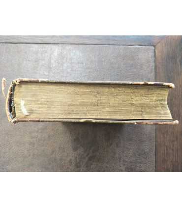 История немецкой литературы