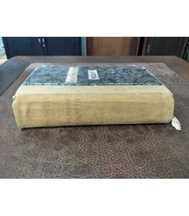 Новая биография Моцарта