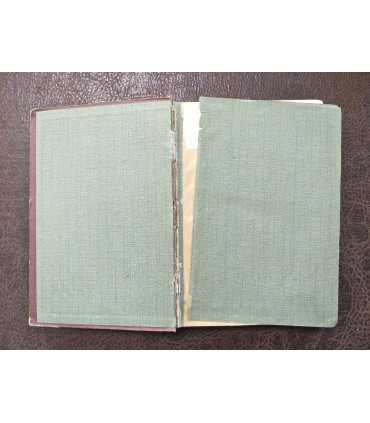 Стихотворения С.Я. Надсона