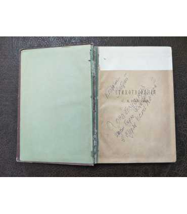 Стихотворения С.Я. Надсона