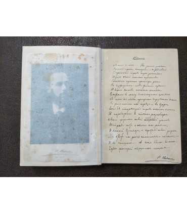 Стихотворения С.Я. Надсона