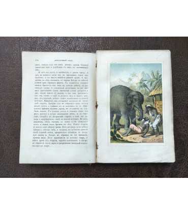 Повести и рассказы для детей. А.Разина