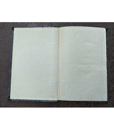 "Странница". Алексей Ремизов