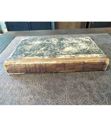 Гарденины, их дворня, приверженцы и враги