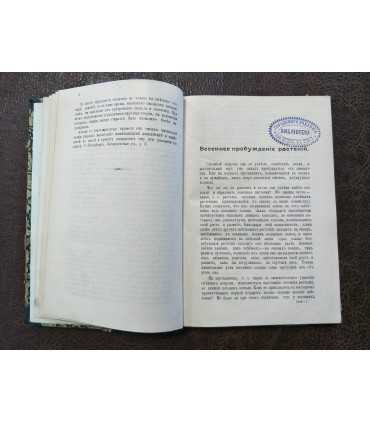 Сезонные явления в Природе