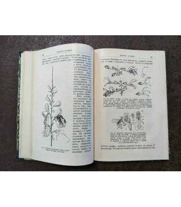 Сезонные явления в Природе