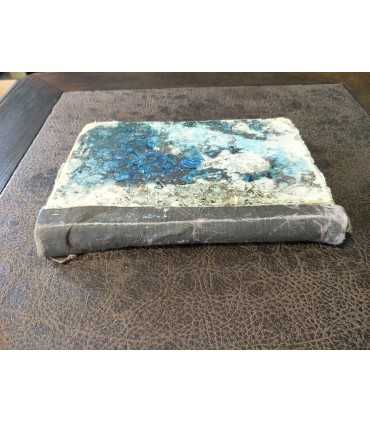 География растений