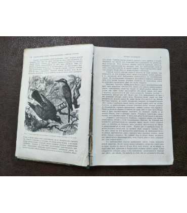 Брем, жизнь животных. Том 9