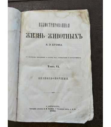 Иллюстрированная Жизнь животных А.Э. Брема