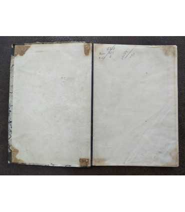 Чума (Pestis bubonica)