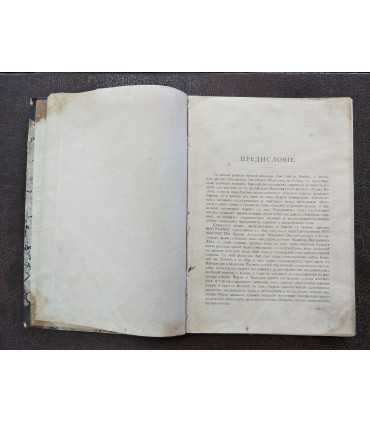 Чума (Pestis bubonica)