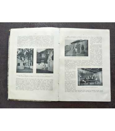 Чума (Pestis bubonica)