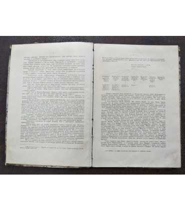 Чума (Pestis bubonica)