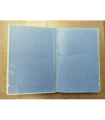 Anton Springer. Handbuch der Kunstgeschichte