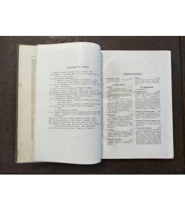 Anton Springer. Handbuch der Kunstgeschichte