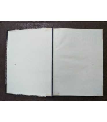 Der Weltcourier 1911-1912