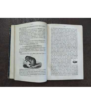 Естественная история для женских учебных заведений