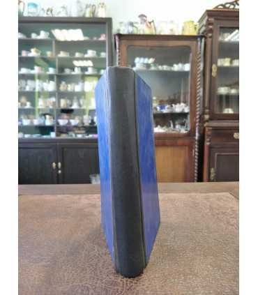 Грабители морей. Луи Жаколио