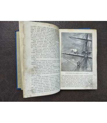 Грабители морей. Луи Жаколио