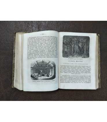 Острова Тихого океана. Ф.Кристмана и Р.Оберлэндера.